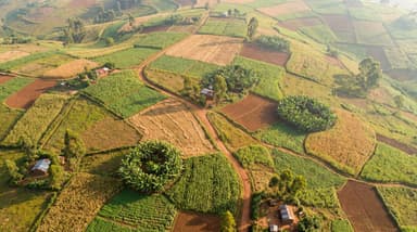 Smallholder farmland patchwork